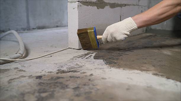24/7 Emergency Crawl Space Encapsulation experts in Corryton, TN